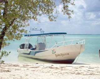 Visita guiada en bote